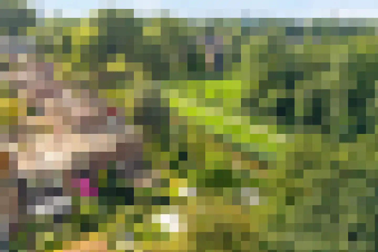 Chopinrode 23 Zoetermeer thumbnail 36