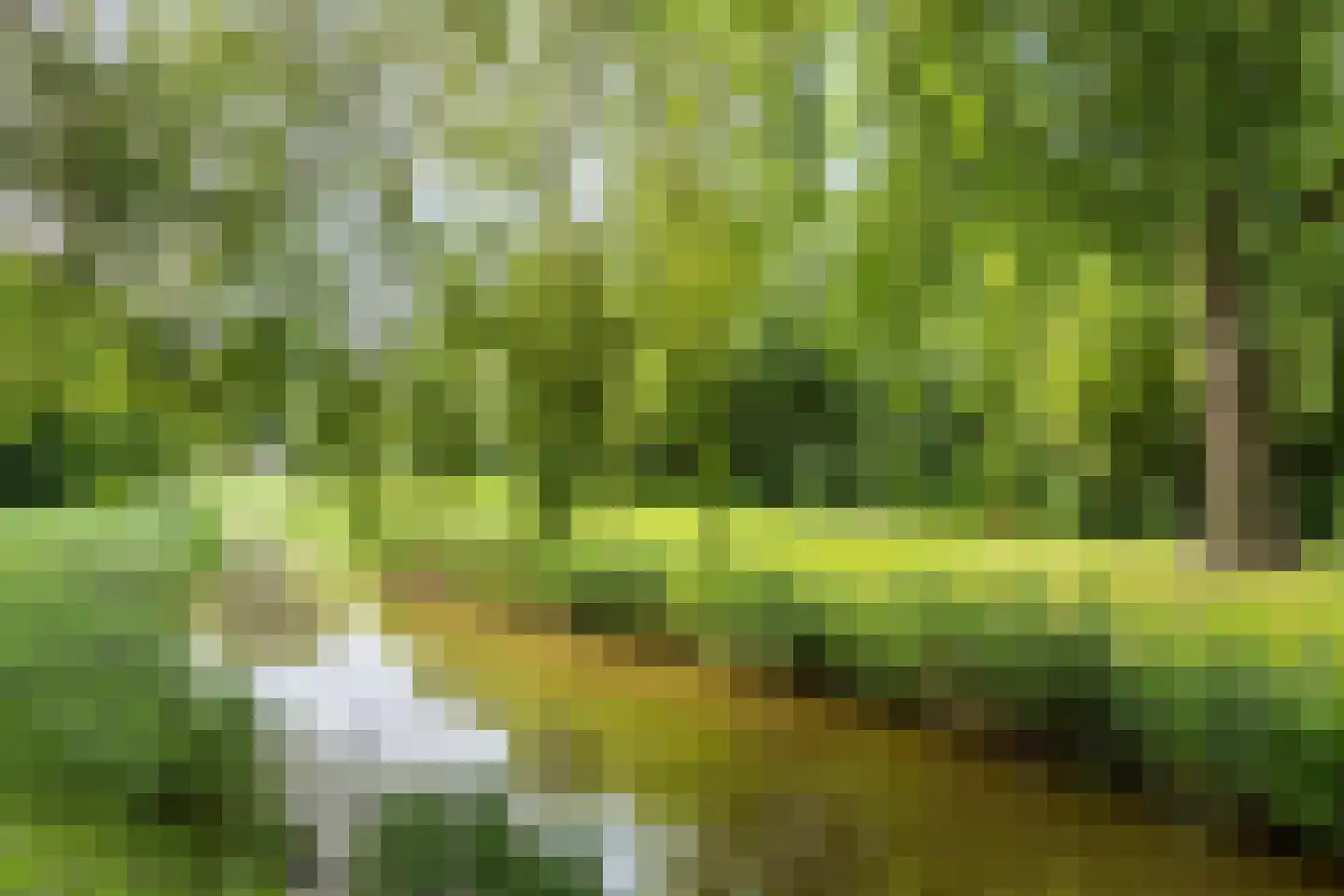 Chopinrode 23 Zoetermeer thumbnail 38