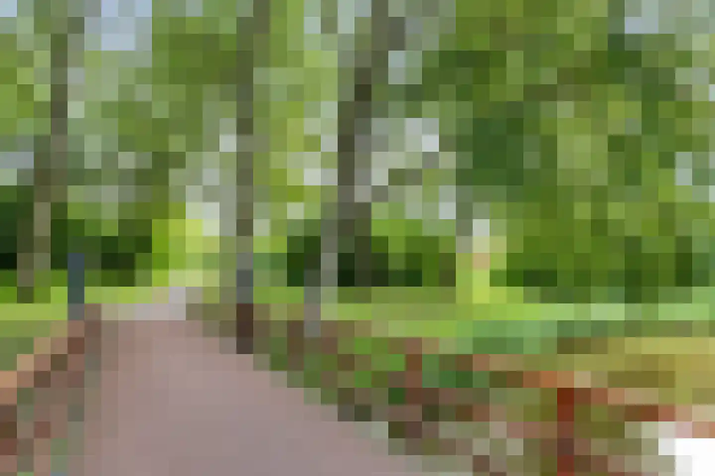 Chopinrode 23 Zoetermeer thumbnail 39