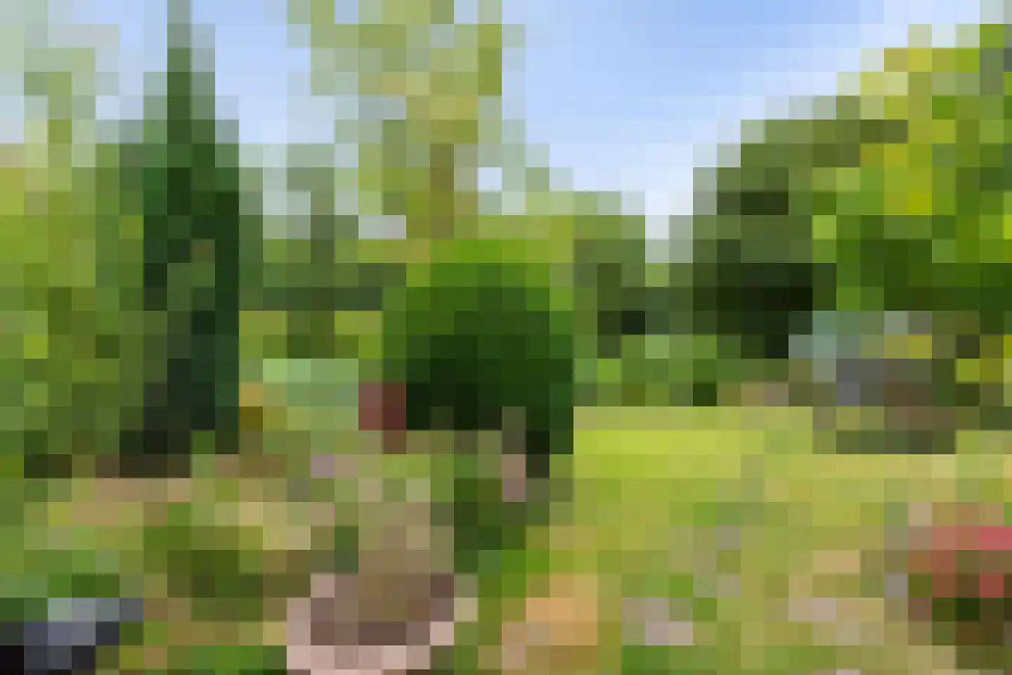 Chopinrode 23 Zoetermeer thumbnail 4