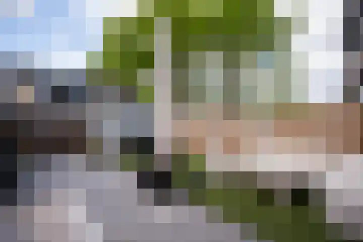 Chopinsingel 34 Alphen aan den Rijn thumbnail 10