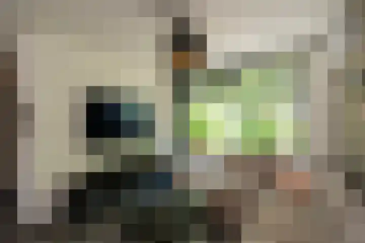 Chopinsingel 34 Alphen aan den Rijn thumbnail 4