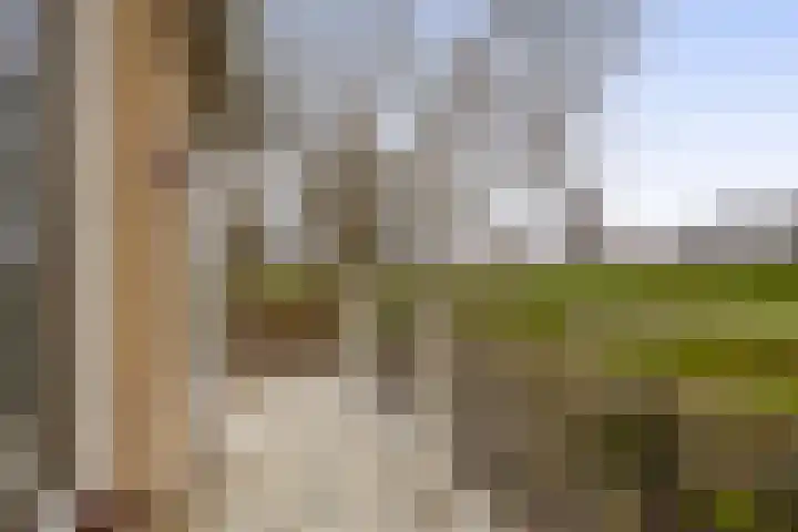 Chopinstraat 1 Lisse thumbnail 13