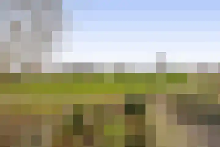 Chopinstraat 1 Lisse thumbnail 14