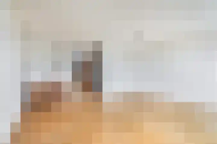 Chopinstraat 1 Lisse thumbnail 15
