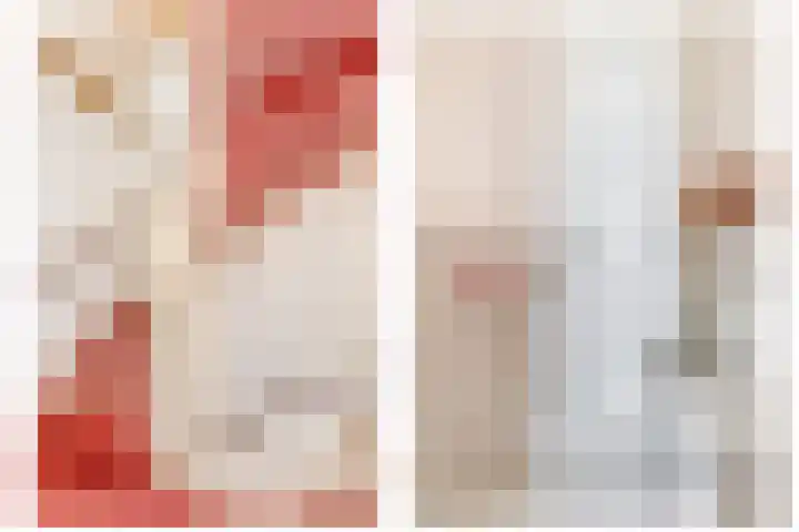 Chopinstraat 1 Lisse thumbnail 21