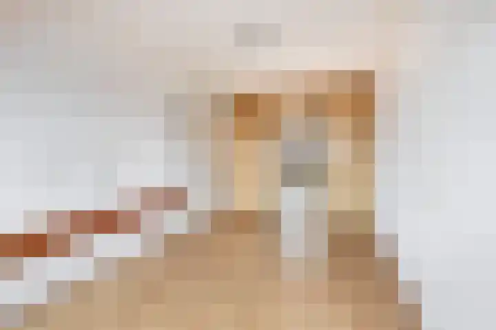 Chopinstraat 1 Lisse thumbnail 25