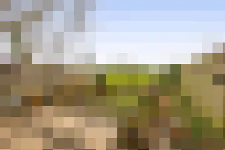 Chopinstraat 1 Lisse thumbnail 33