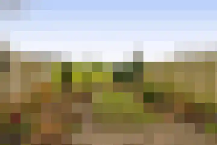 Chopinstraat 1 Lisse thumbnail 34