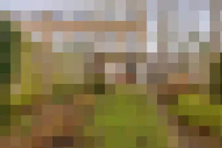 Chopinstraat 1 Lisse thumbnail 35