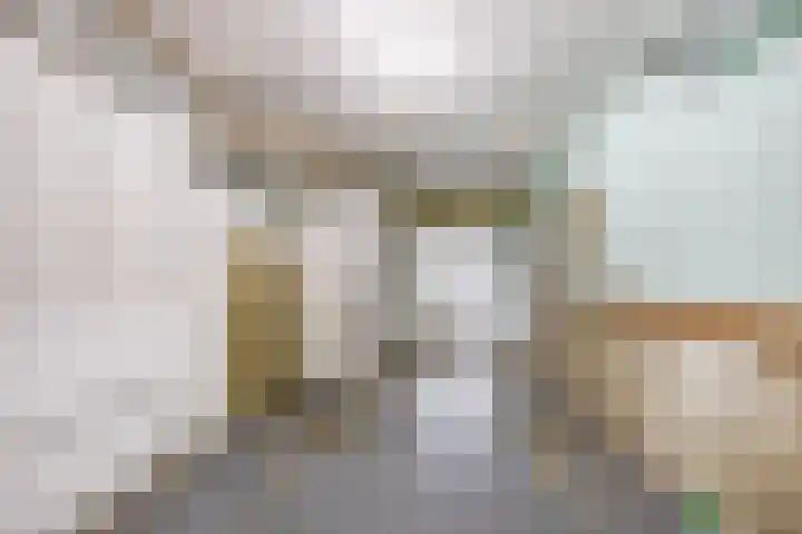 Chopinstraat 1 Lisse thumbnail 38