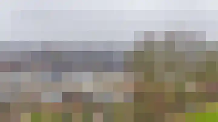 Chopinstraat 1 Lisse thumbnail 41
