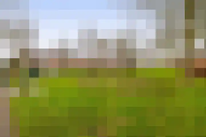 Chopinstraat 1 Lisse thumbnail 45