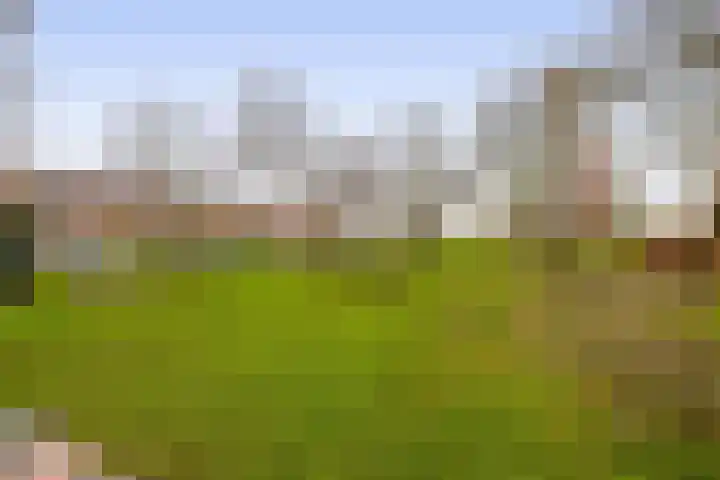 Chopinstraat 1 Lisse thumbnail 46