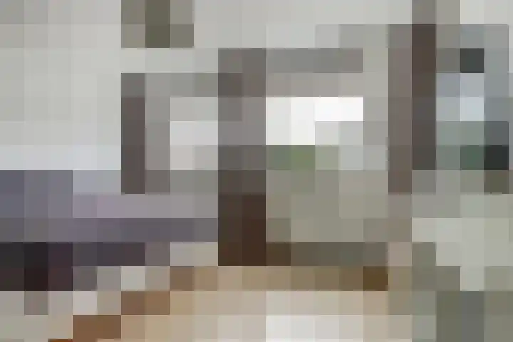Chopinstraat 10 Oosterhout thumbnail 13