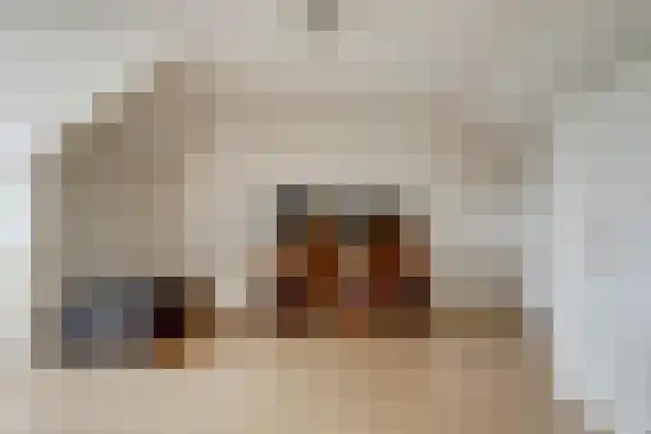 Chopinstraat 10 Oosterhout thumbnail 21