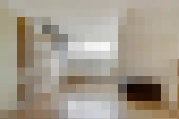 Chopinstraat 10 Oosterhout thumbnail 22