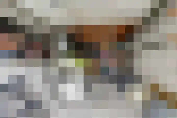 Chopinstraat 10 Oosterhout thumbnail 23