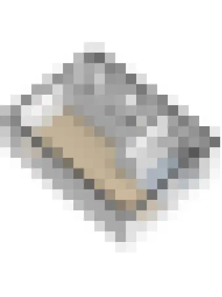 Chopinstraat 10 Oosterhout thumbnail 37