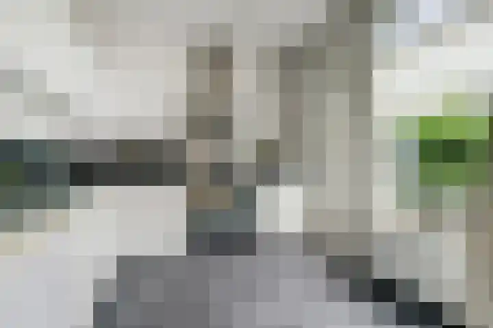 Chopinstraat 10 Oosterhout thumbnail 5
