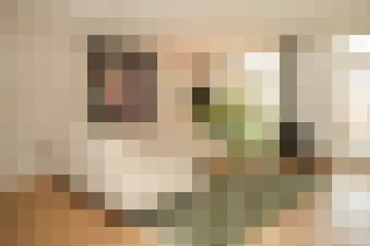 Chopinstraat 12 Schijndel thumbnail 10