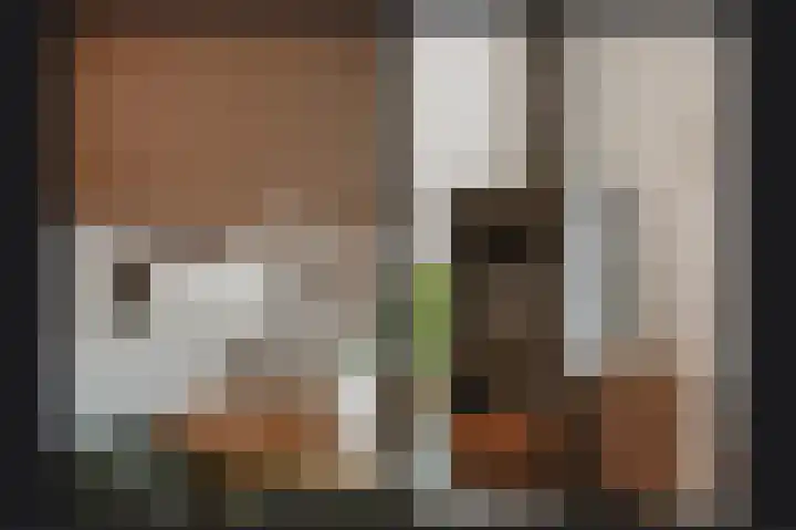 Chopinstraat 12 Schijndel thumbnail 11