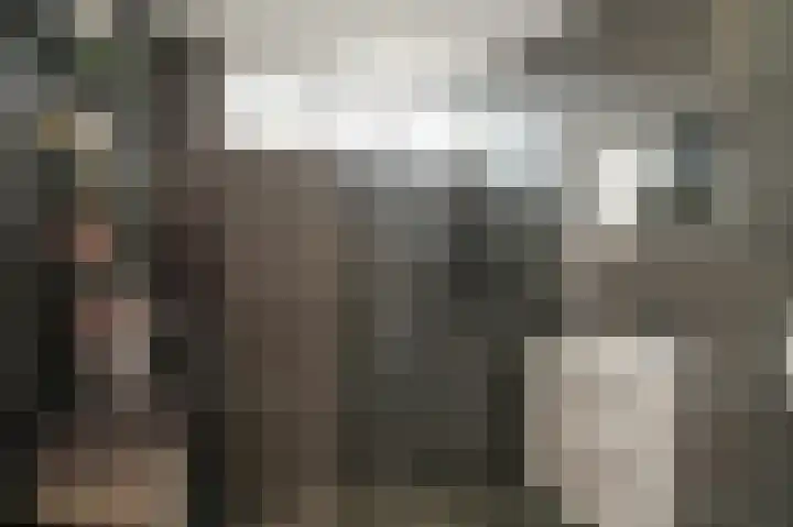 Chopinstraat 12 Schijndel thumbnail 17