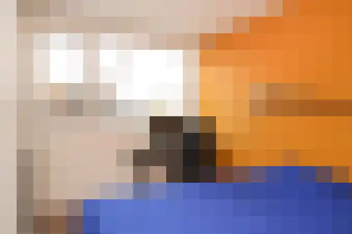 Chopinstraat 12 Schijndel thumbnail 20