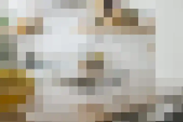 Chopinstraat 12 Tilburg thumbnail 11