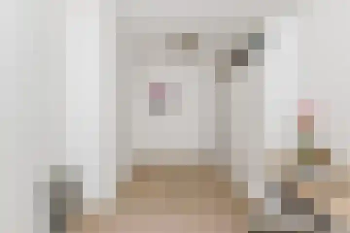 Chopinstraat 12 Tilburg thumbnail 12