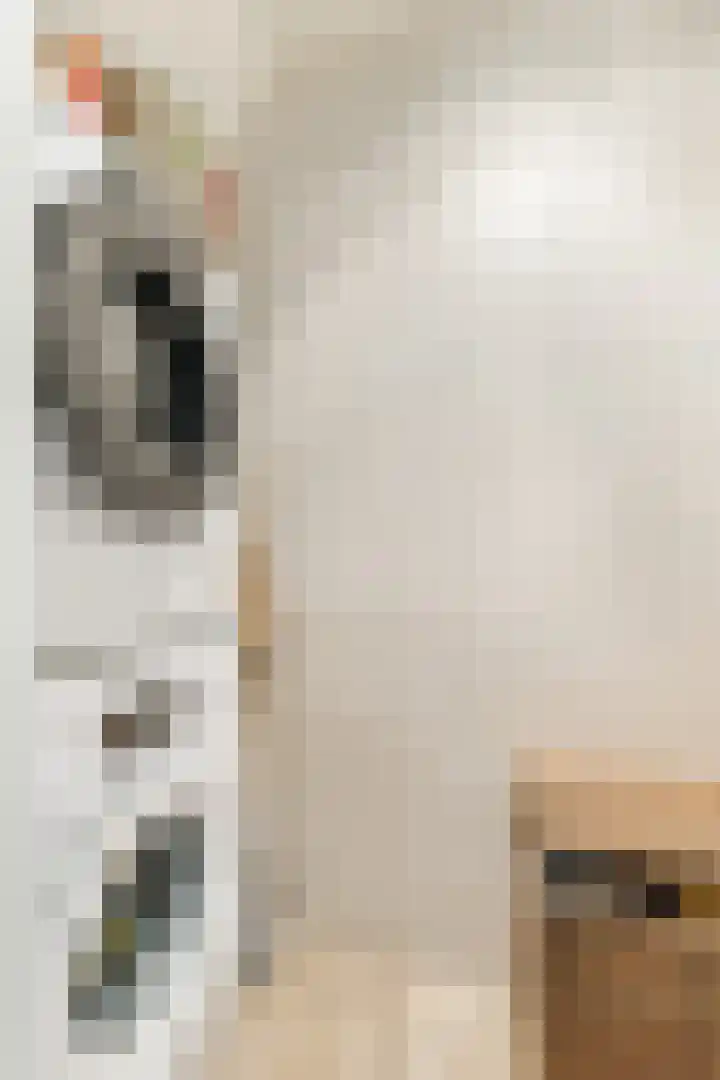 Chopinstraat 12 Tilburg thumbnail 17