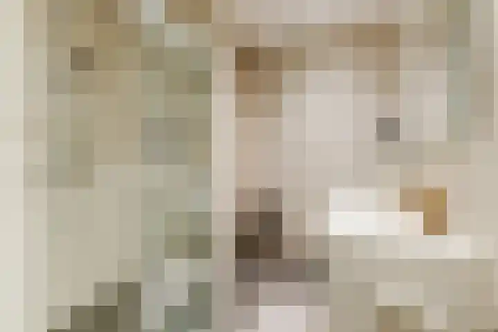 Chopinstraat 12 Tilburg thumbnail 24