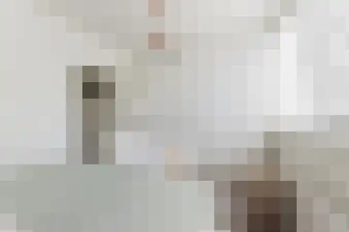 Chopinstraat 12 Tilburg thumbnail 27