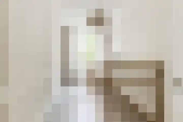 Chopinstraat 12 Tilburg thumbnail 31