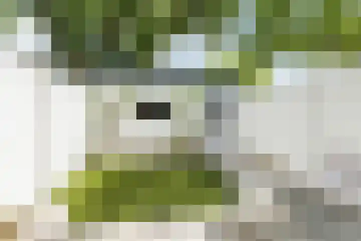 Chopinstraat 12 Tilburg thumbnail 36