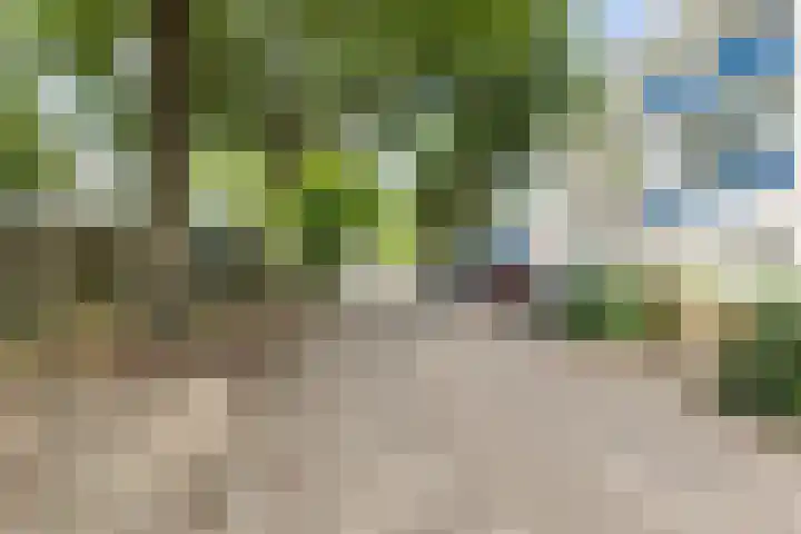 Chopinstraat 12 Tilburg thumbnail 40