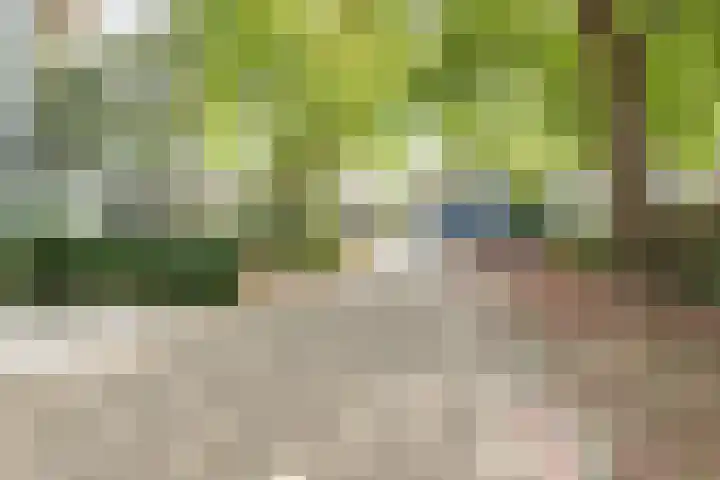 Chopinstraat 12 Tilburg thumbnail 41