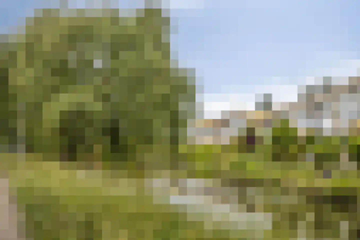 Chopinstraat 126 Capelle aan den IJssel thumbnail 30