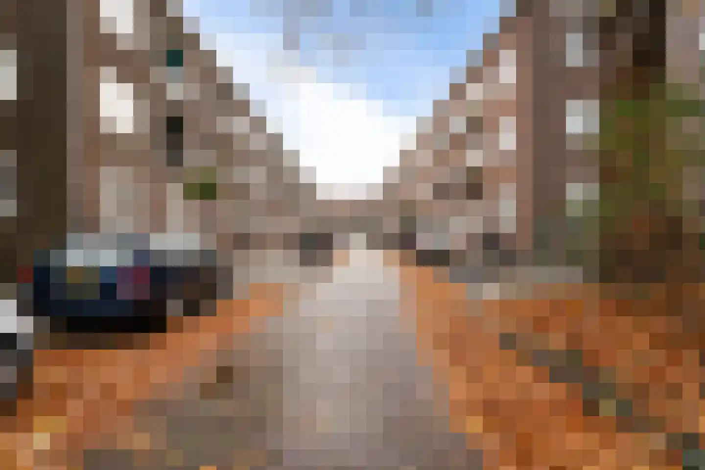 Chopinstraat 13 B Vlaardingen thumbnail 8
