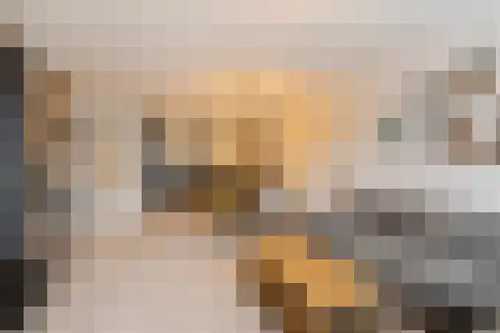 Chopinstraat 131 Capelle aan den IJssel thumbnail 10