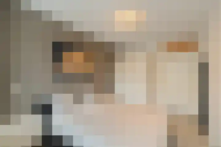 Chopinstraat 131 Capelle aan den IJssel thumbnail 15