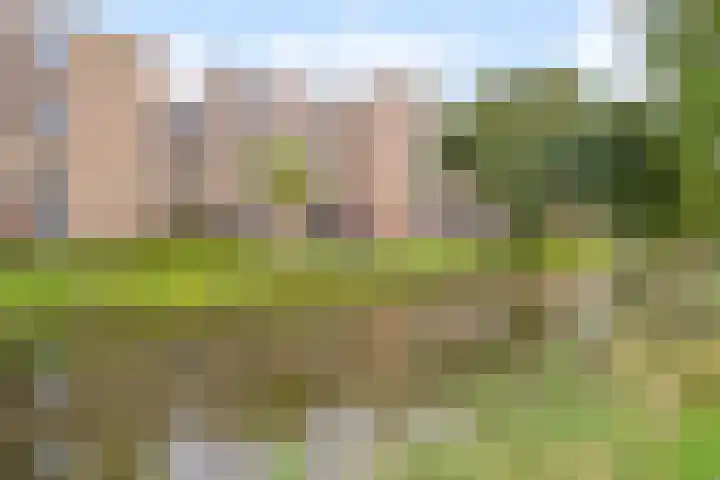 Chopinstraat 131 Capelle aan den IJssel thumbnail 25