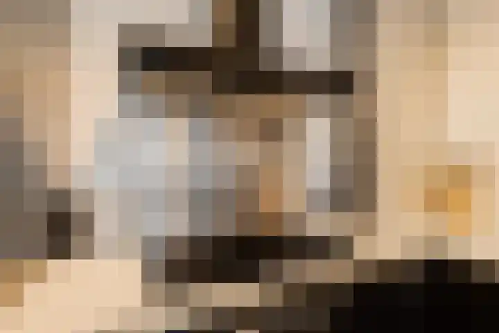 Chopinstraat 131 Capelle aan den IJssel thumbnail 5