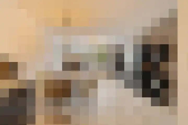 Chopinstraat 131 Capelle aan den IJssel thumbnail 7