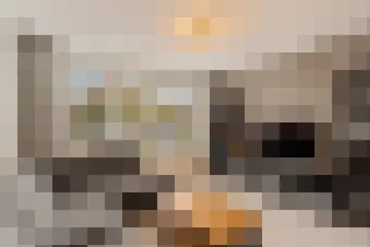 Chopinstraat 131 Capelle aan den IJssel thumbnail 9