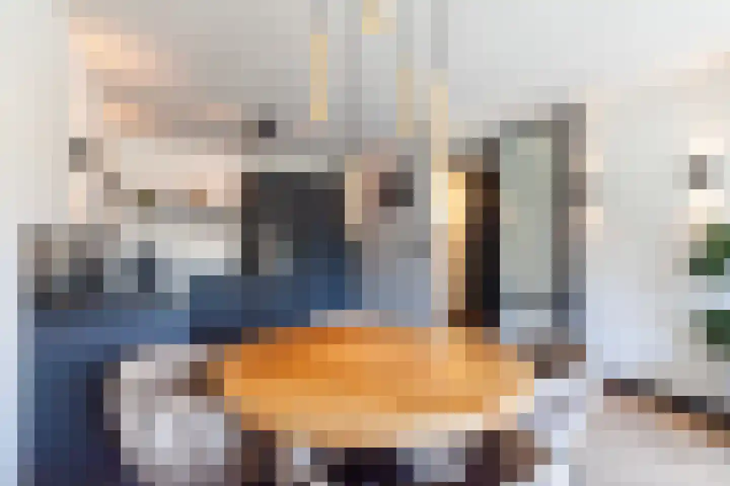 Chopinstraat 133 Capelle aan den IJssel thumbnail 14
