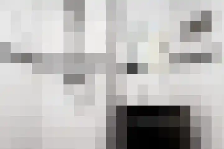 Chopinstraat 14 Almelo thumbnail 19