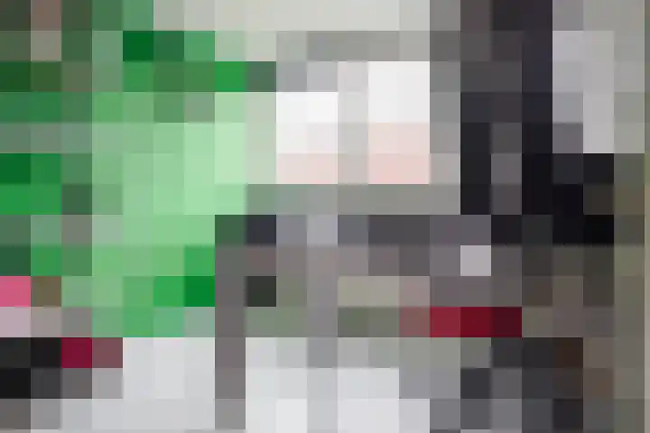 Chopinstraat 14 Almelo thumbnail 20