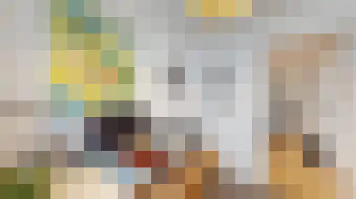 Chopinstraat 14 Geleen thumbnail 23