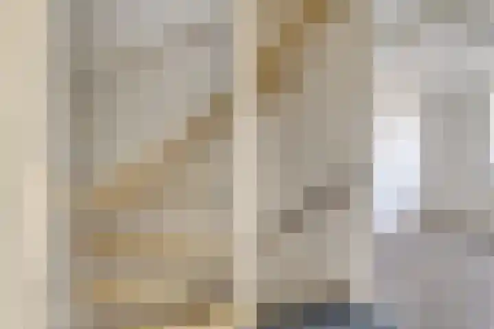 Chopinstraat 142 Capelle aan den IJssel thumbnail 13